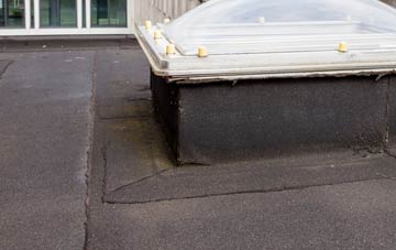 disadvantages of Harrapool flat roofs